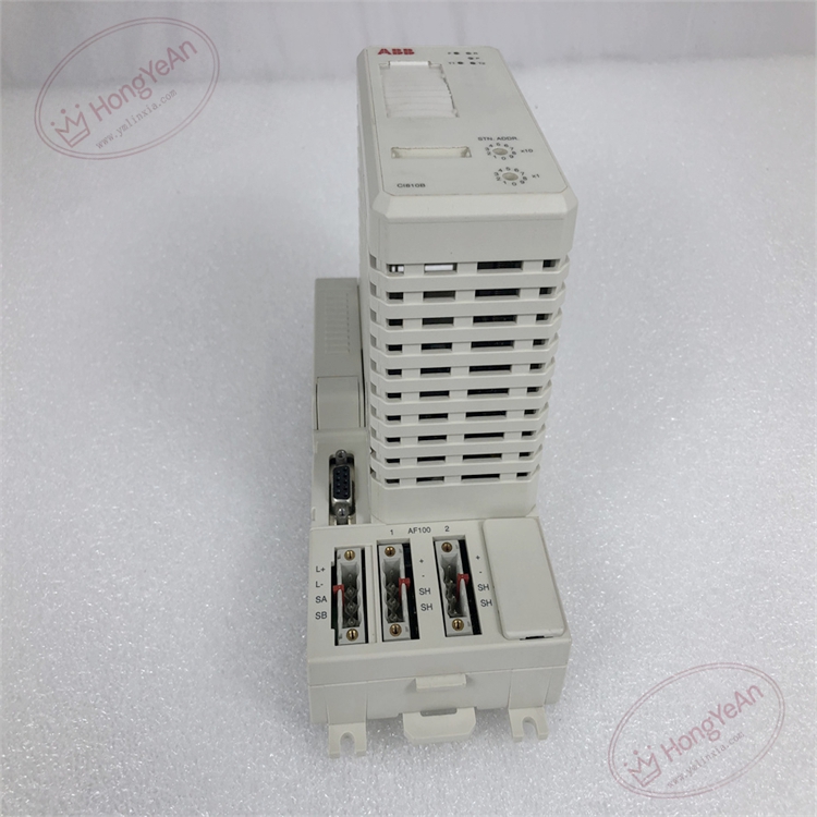 CI810B 3BSE020520R1 (1)