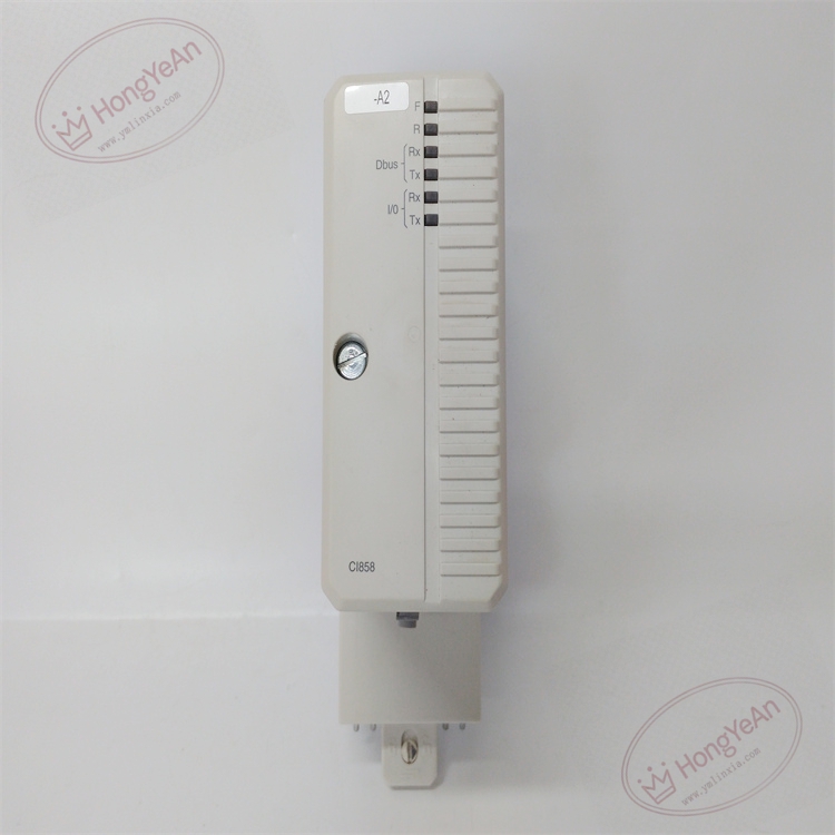 CI858K01 3BSE018135R1 (2)
