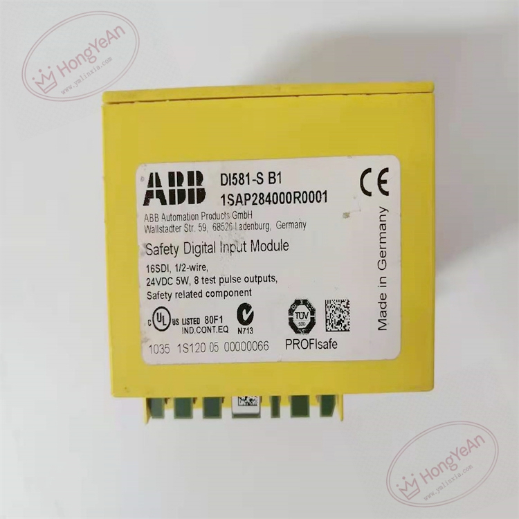 DI581-S 1SAP284000R0001 (3)