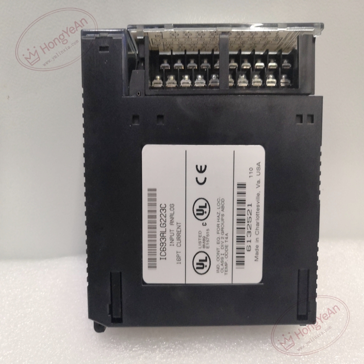 IC693ALG223D (2)