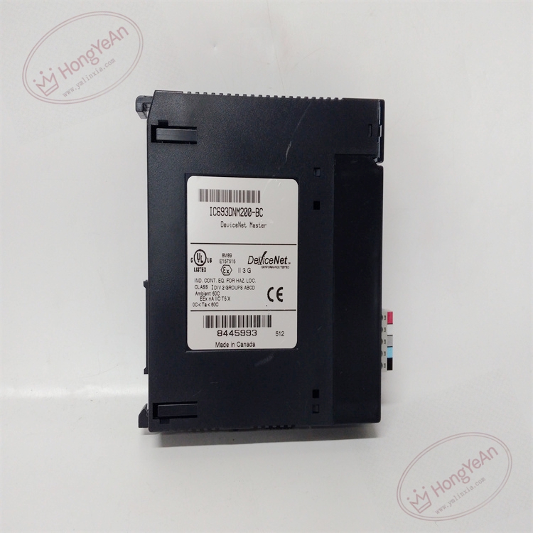 IC693DNM200-BC (2)