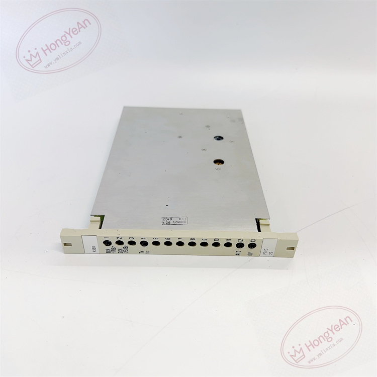 P3EB HENF315223R1 (2)