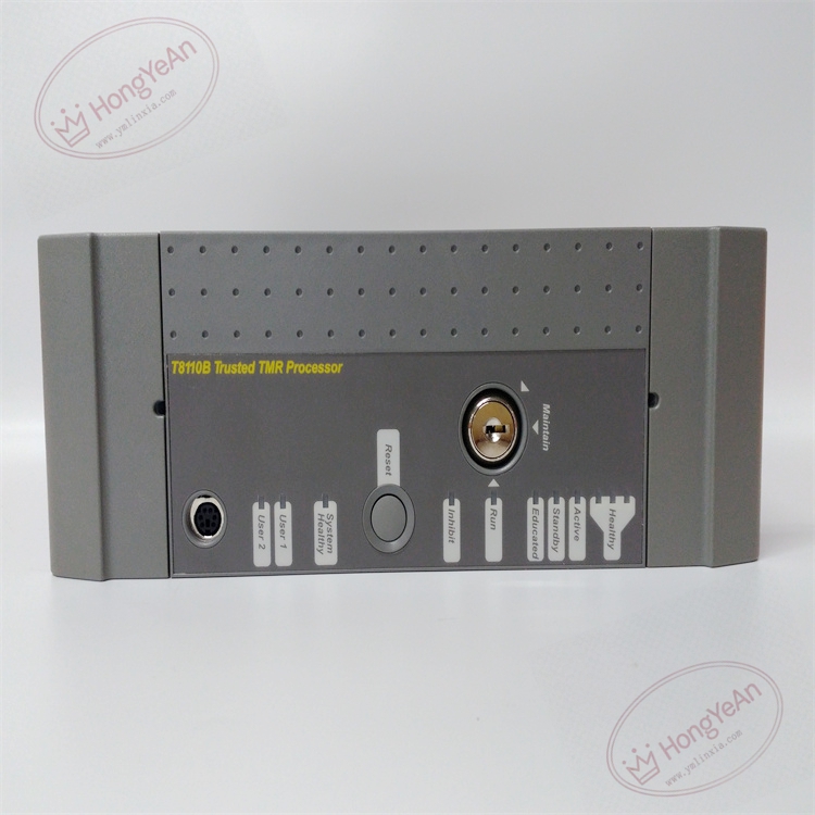 T8110B (4)