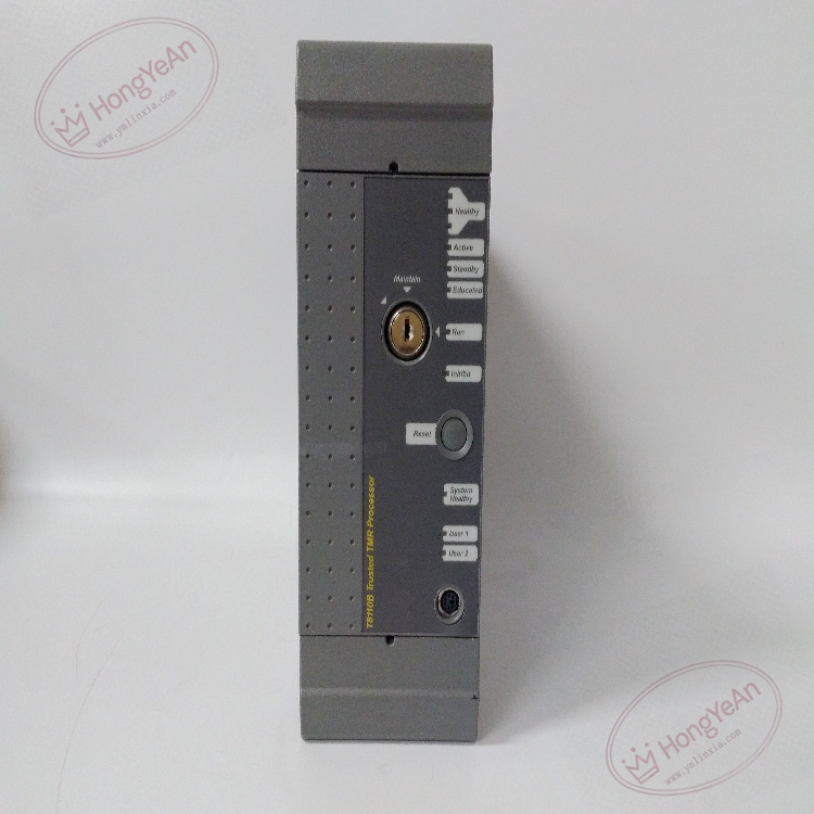 T8110C (2)
