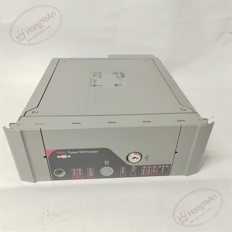 T8111C (4)