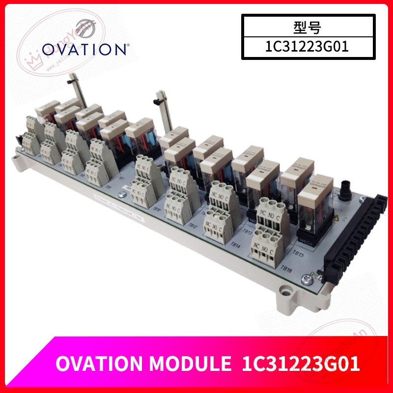 OVATION-1C31223G01-(1)