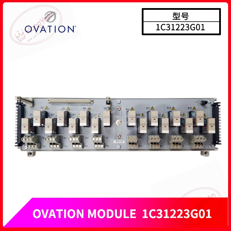 OVATION-1C31223G01-(2)