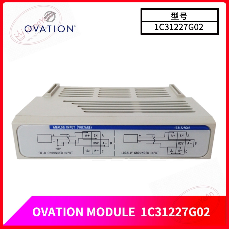 OVATION-1C31227G02-(2)